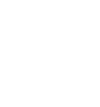 house icon